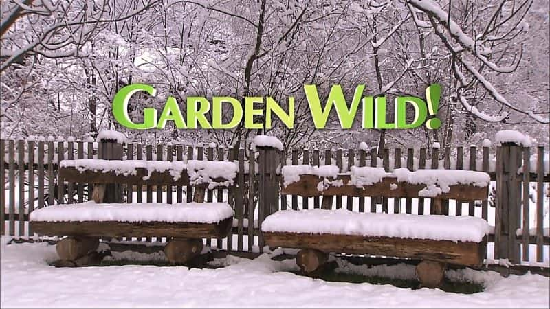 ¼Ƭ԰Ұ Garden Wild!1080P-Ļ/Ļ