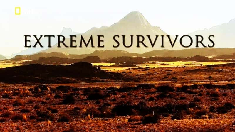 ¼ƬҴ Extreme SurvivorsĻ/Ļ