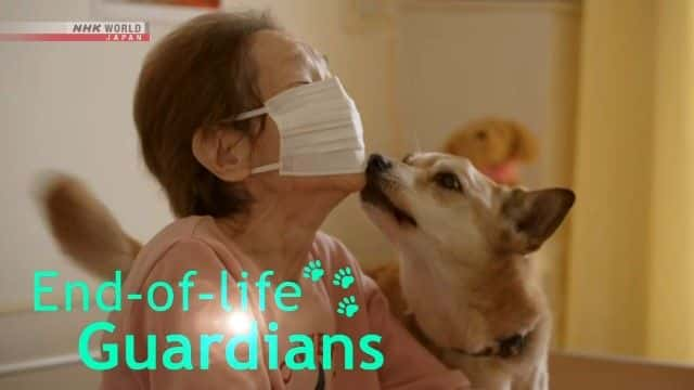 ¼Ƭսػ End of Life Guardians1080Pȫ1-Ļ/Ļ