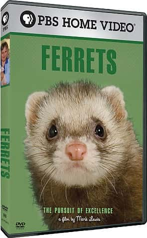 ¼Ƭѩ׷׿Խ Ferrets: The Pursuit of ExcellenceĻ/Ļ