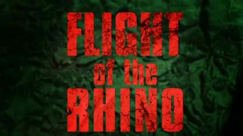 纪录片《犀牛的飞行 Flight of the Rhino》[无字][BT][720P]资源下载