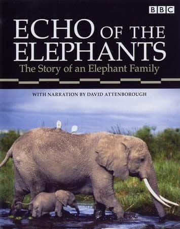 ¼ƬĻ Echo of the Elephantsȫ4-Ļ/Ļ