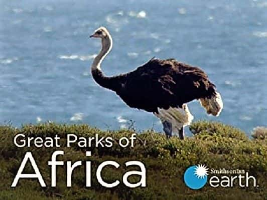 ¼Ƭ޴԰ϵ 1 Great Parks of Africa: Series 11080P-Ļ/Ļ