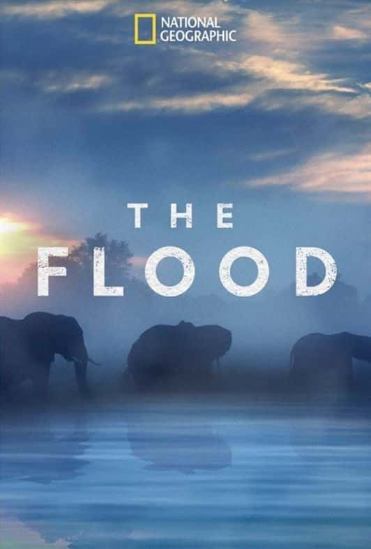 ¼Ƭˮ The FloodĻ/Ļ