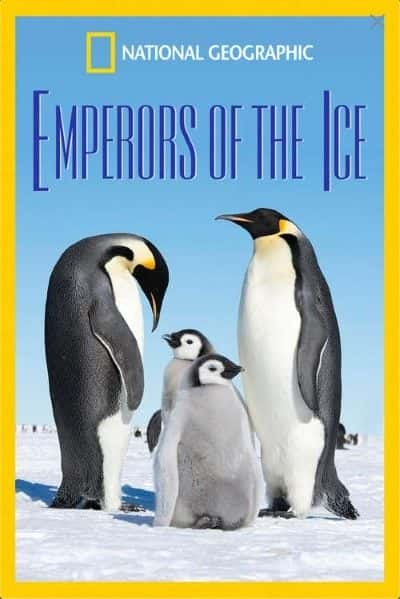 ¼Ƭ֮ Emperors of the Ice720Pȫ1-Ļ/Ļ