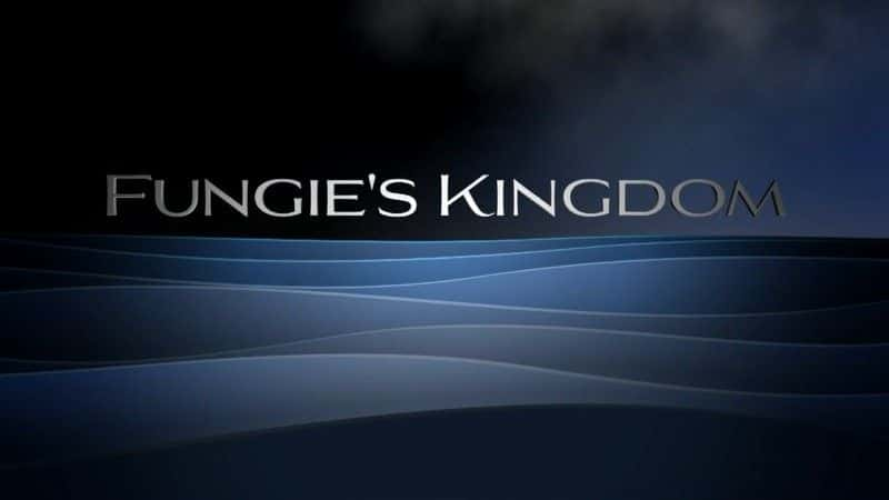 ¼Ƭަ Fungie's Kingdomȫ1-Ļ/Ļ