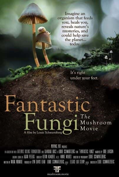 ¼Ƭ Fantastic Fungi1080Pȫ1-Ļ/Ļ