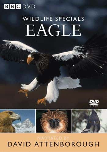 纪录片《鹰 Eagle》[无字] [BT][DVD画质]资源下载