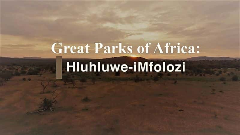 ¼ƬΰĹ԰Hluhluwe-iMfolozi Great Parks of Africa: Hluhluwe-iMfolozi1080P-Ļ/Ļ