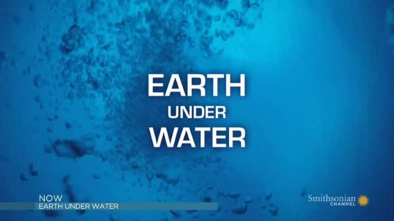 ¼Ƭˮµʷɭᣩ Earth under Water (Smithsonian)1080Pȫ1-Ļ/Ļ