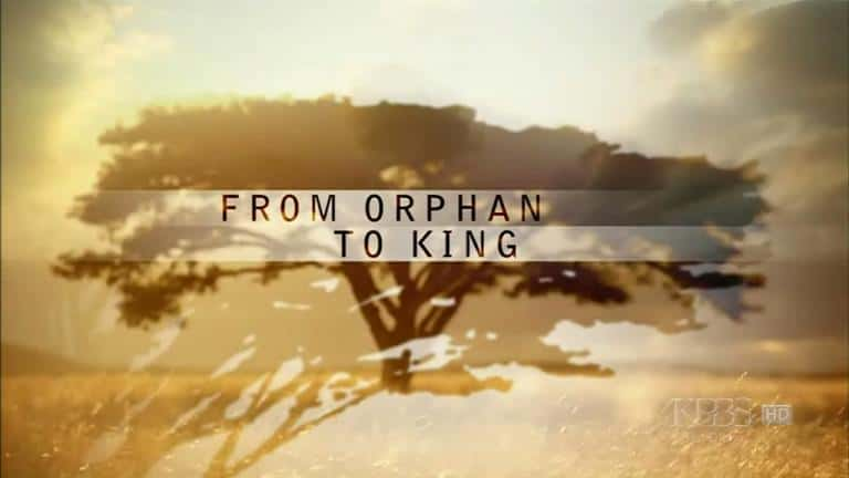 ¼Ƭӹ¶ From Orphan to KingĻ/Ļ