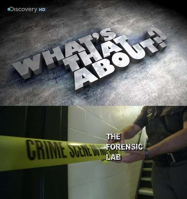 ¼Ƭҽʵ The Forensic LabĻ/Ļ