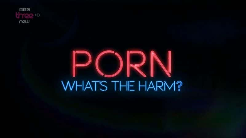 纪录片《色情：有什么害处？ Porn: Whats the Harm?》[无字] [BT][DVD画质]资源下载