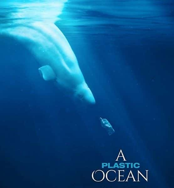 纪录片《塑料海洋 A Plastic Ocean》[无字][BT][720P]资源下载