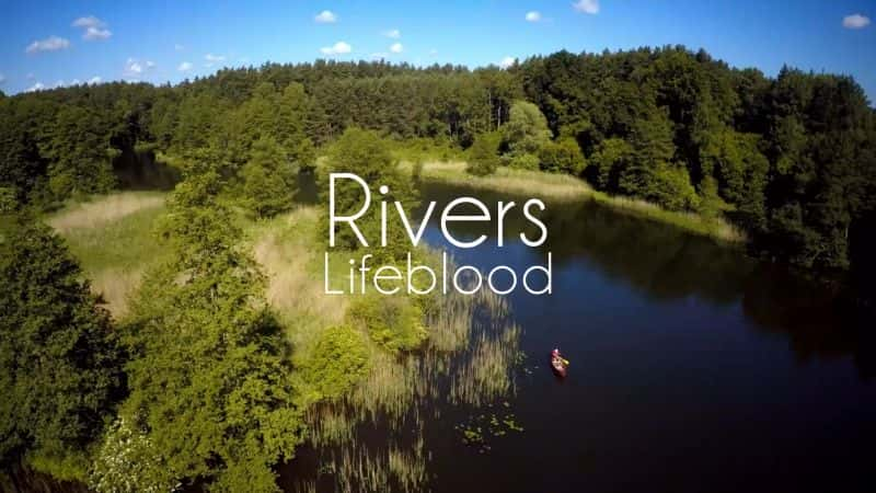 ¼Ƭ Rivers Lifeblood1080P-Ļ/Ļ