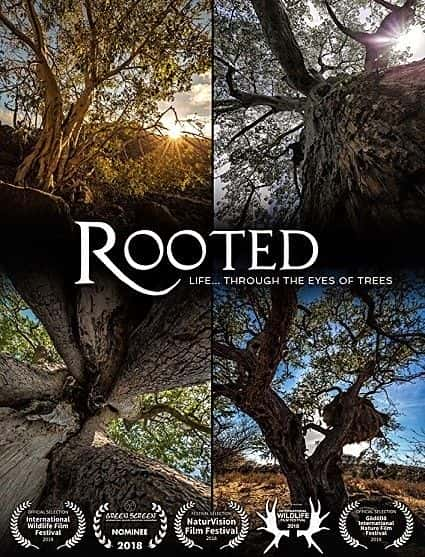 ¼Ƭϵ 1 Rooted: Series 11080P-Ļ/Ļ