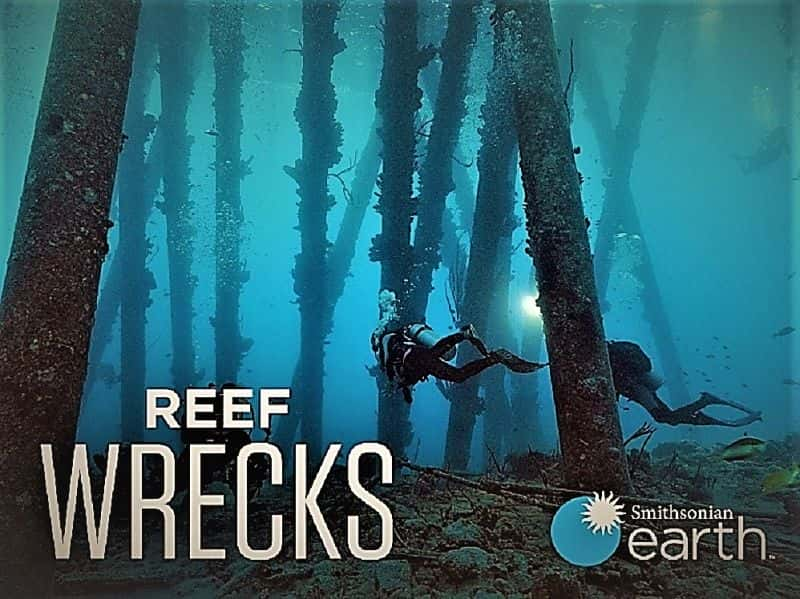 纪录片《珊瑚礁沉船：系列 1 Reef Wrecks: Series 1》[无字][BT][1080P]资源下载