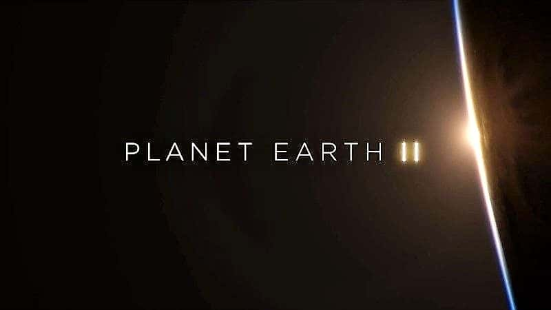 纪录片《地球脉动 II 第 5 部分：草原 Planet Earth II Part 5: Grasslands》[无字] [BT][DVD画质]资源下载