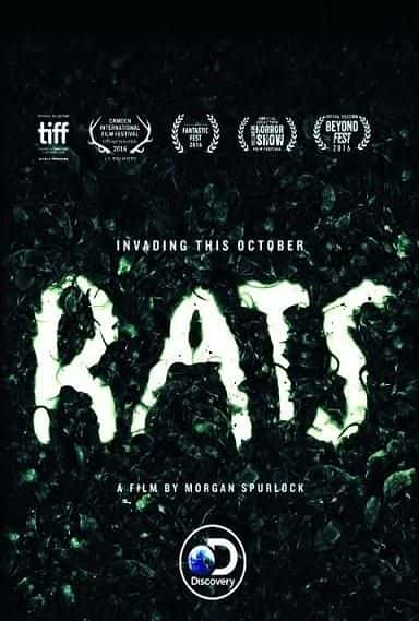 纪录片《老鼠 Rats》[无字][BT][1080P]资源下载