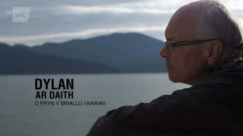 ¼Ƭĵ O Fryn y Briallu O Fryn y Briallu i Hawai'iȫ1-Ļ/Ļ