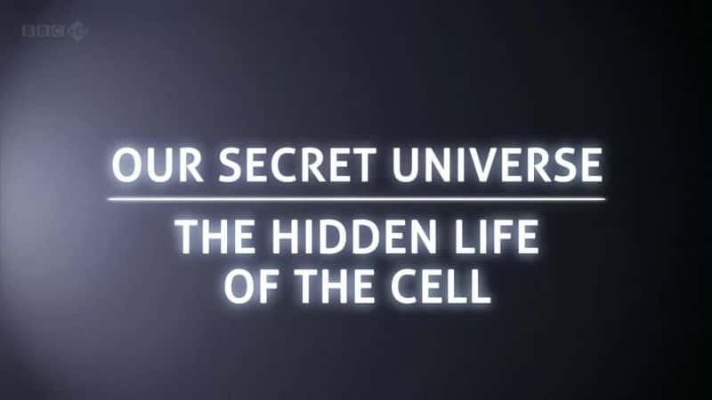 ¼Ƭǵ棺ϸ Our Secret Universe: The Hidden Life of the Cellȫ1-Ļ/Ļ