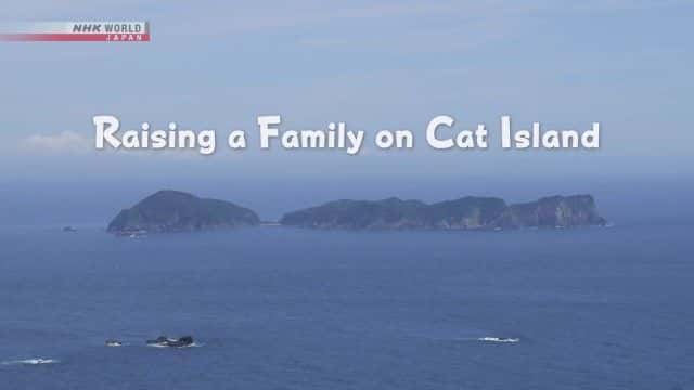 ¼ƬèҺ Raising a Family on Cat Island1080Pȫ1-Ļ/Ļ