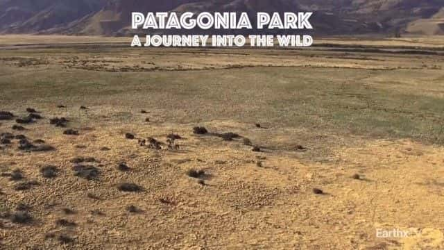 纪录片《巴塔哥尼亚公园：野外之旅 Patagonia Park: A Journey into the Wild》[无字][BT][720P]资源下载