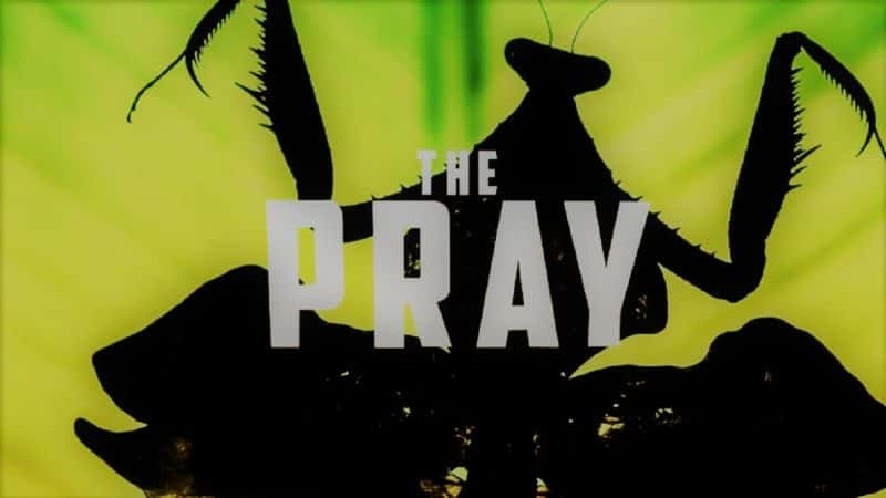 ¼Ƭ The Pray1080P-Ļ/Ļ