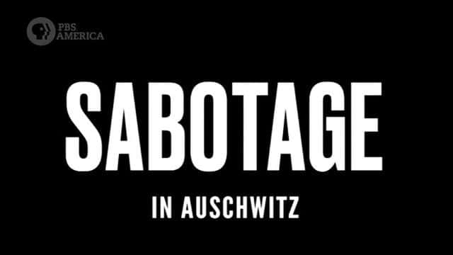 纪录片《奥斯威辛集中营的破坏活动 Sabotage in Auschwitz》[无字] [BT][DVD画质]资源下载