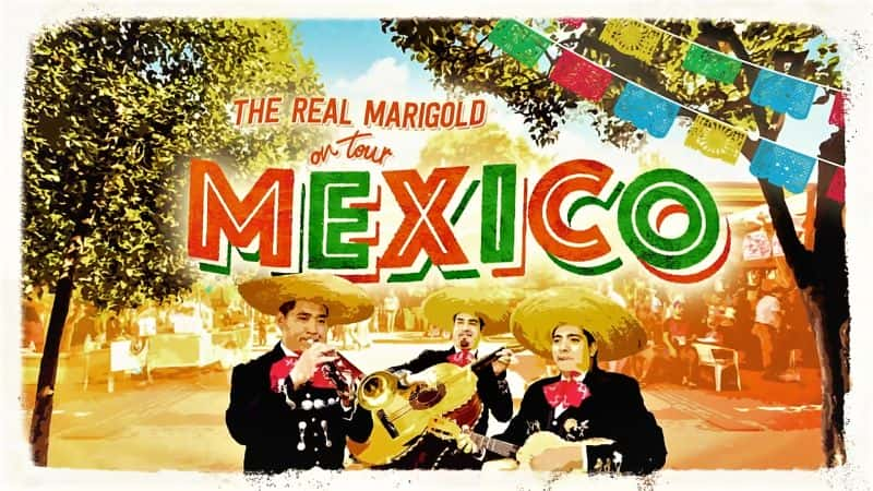 纪录片《真正的万寿菊巡演系列 3：墨西哥 The Real Marigold on Tour Series 3: Mexico》[无字] [BT][DVD画质]资源下载