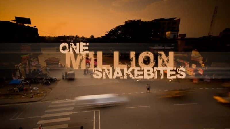 ¼Ƭһҧ (BBC) One Million Snake Bites (BBC)1080P-Ļ/Ļ