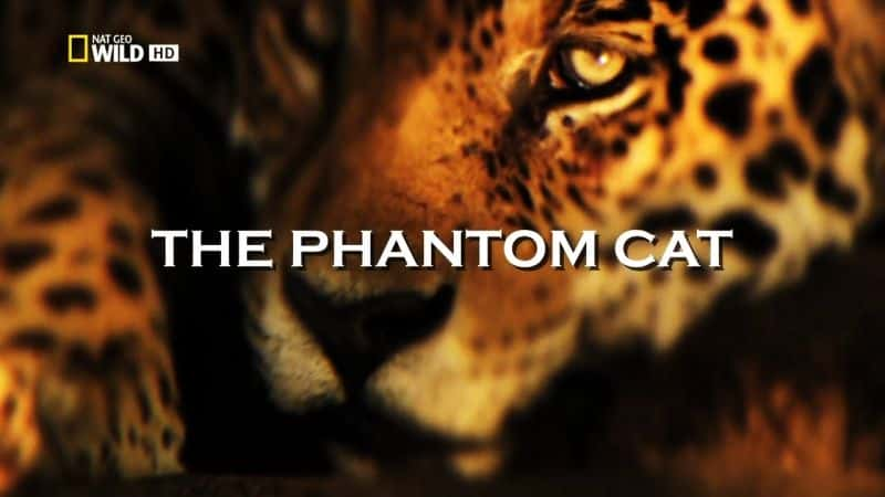 ¼ƬӰè The Phantom CatĻ/Ļ