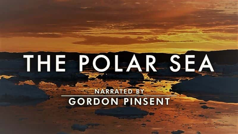 纪录片《极地海：系列 1 The Polar Sea: Series 1》[无字][BT][1080P]资源下载