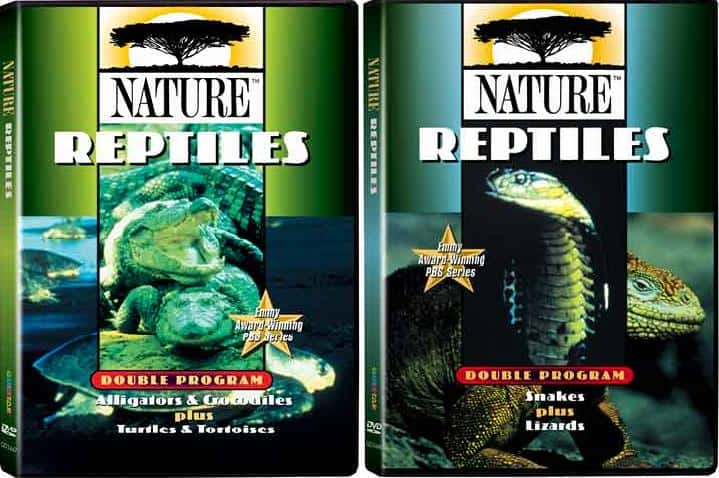 ¼Ƭж (PBS) Reptiles (PBS)ȫ4-Ļ/Ļ