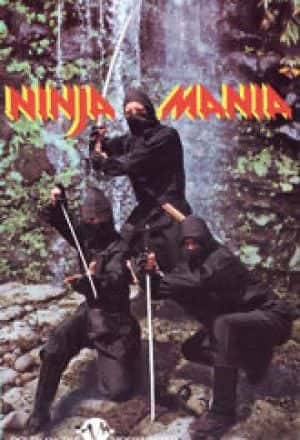 ¼Ƭ߿ Ninja ManiaĻ/Ļ