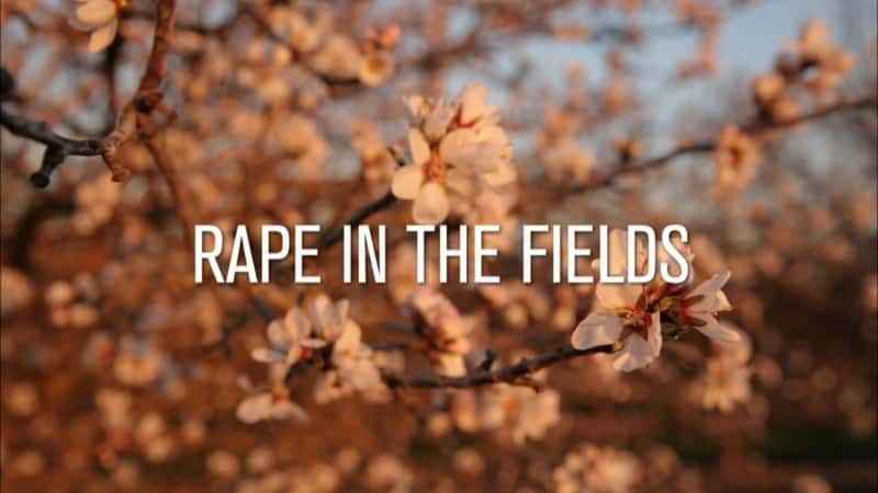 ¼ƬҰǿ Rape in the FieldsĻ/Ļ