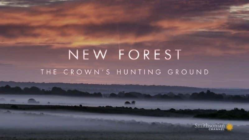 纪录片《新森林：王冠的狩猎场 New Forest: The Crown's Hunting Ground》[无字] [BT][DVD画质]资源下载