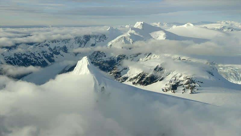 ¼Ƭʨɽ Pumas: Legends of the Ice Mountains1080Pȫ1-Ļ/Ļ