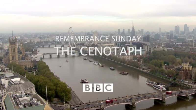 纪录片《阵亡将士纪念日：2014 年纪念碑 Remembrance Sunday: The Cenotaph 2014》[无字] [BT][DVD画质][720P]双画质资源下载