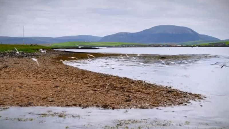 ¼Ƭ¿Ⱥʱ Orkney: When the Boat Comes inȫ1-Ļ/Ļ