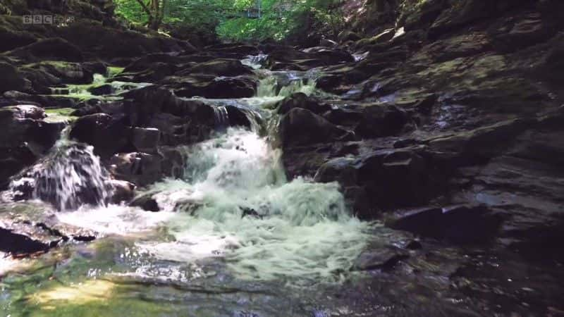 纪录片《河流：泰伊人一生的一年 The River: A Year in the Life of the Tay》[无字][BT][720P]资源下载