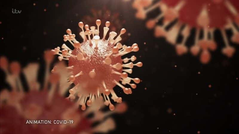 ¼ƬĲ Outbreak: The Virus that Shook the World1080Pȫ1-Ļ/Ļ