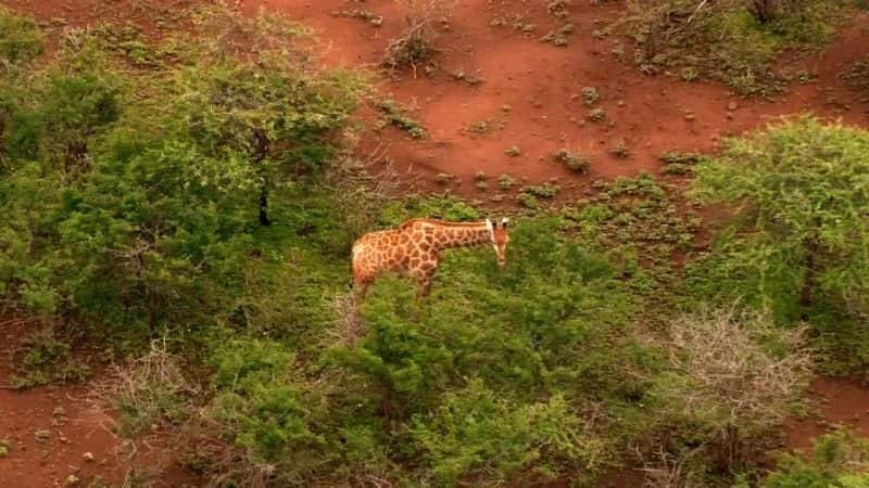 ¼Ƭиǵ򣺼 Our Planet from the Air: HomeĻ/Ļ