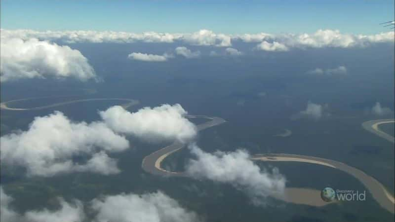 ¼Ƭʿо Rainforest Warriors: Army AntsĻ/Ļ