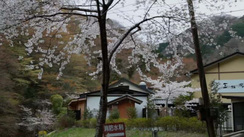 ¼Ƭ -  No Man's Zone: Fukushima - The Day After1080P-Ļ/Ļ