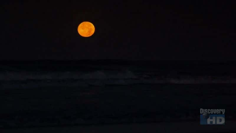 ¼ƬǸ Playa Grande MoonsetĻ/Ļ