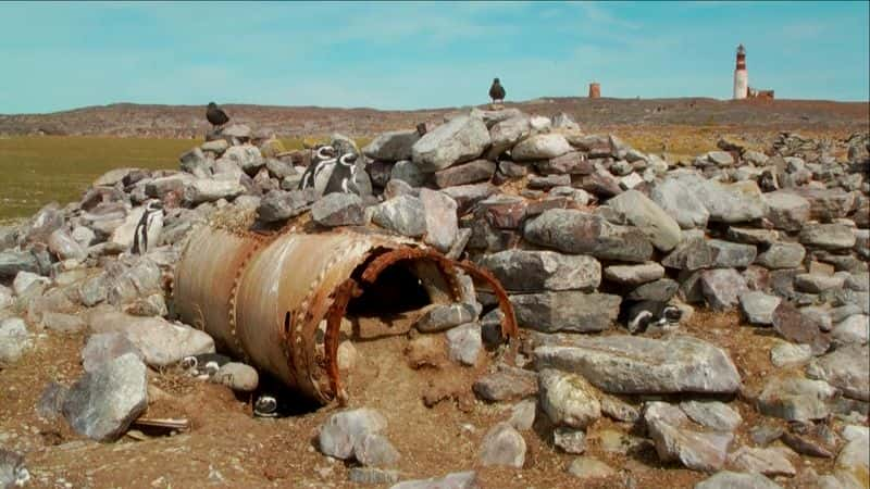 ¼Ƭǣ׷˹ĵĽŲ Patagonia: In the Footsteps of Charles Darwin1080P-Ļ/Ļ