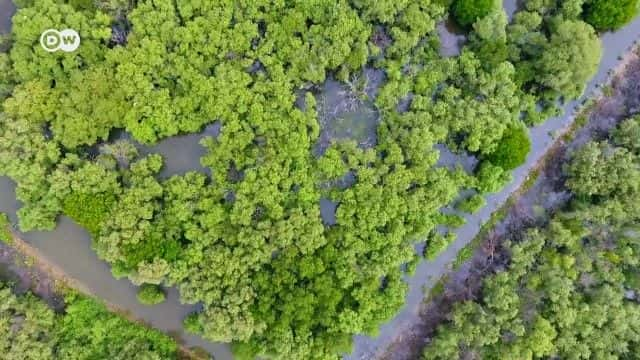 纪录片《从前有一条河：印度尼西亚被污染的柑橘 Once upon a River: Indonesia's Polluted Citarum》[无字][BT][720P]资源下载