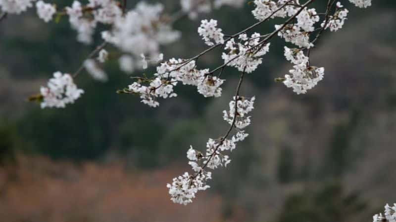 ¼Ƭ -  No Man's Zone: Fukushima - The Day After1080P-Ļ/Ļ