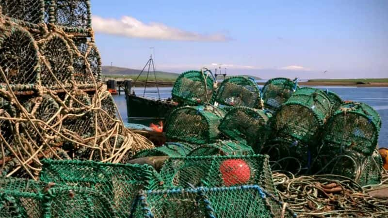 ¼Ƭ¿Ⱥʱ Orkney: When the Boat Comes inȫ1-Ļ/Ļ